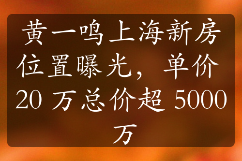 黄一鸣上海新房位置曝光，单价 20 万总价超 5000 万