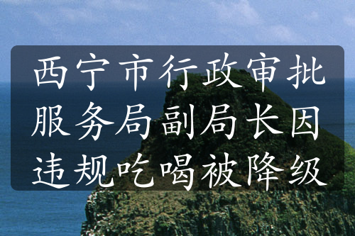 西宁市行政审批服务局副局长因违规吃喝被降级