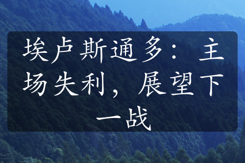 埃卢斯通多：主场失利，展望下一战