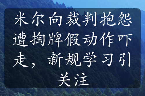 米尔向裁判抱怨遭掏牌假动作吓走，新规学习引关注