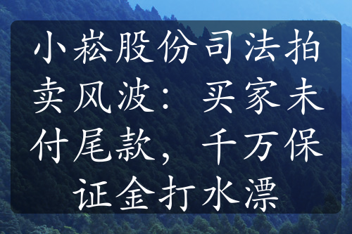 小崧股份司法拍卖风波：买家未付尾款，千万保证金打水漂