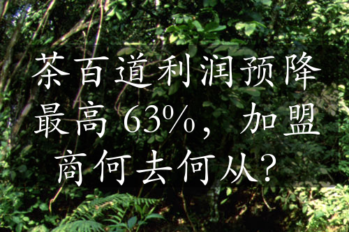 茶百道利润预降最高 63%，加盟商何去何从？