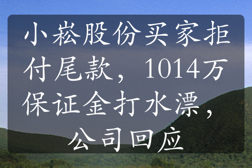 小崧股份买家拒付尾款，1014万保证金打水漂，公司回应