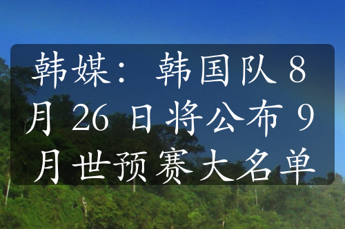 韩媒：韩国队 8 月 26 日将公布 9 月世预赛大名单