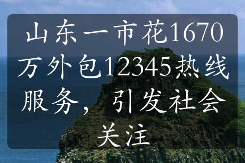 山东一市花1670万外包12345热线服务，引发社会关注