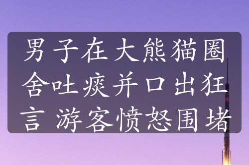 男子在大熊猫圈舍吐痰并口出狂言 游客愤怒围堵