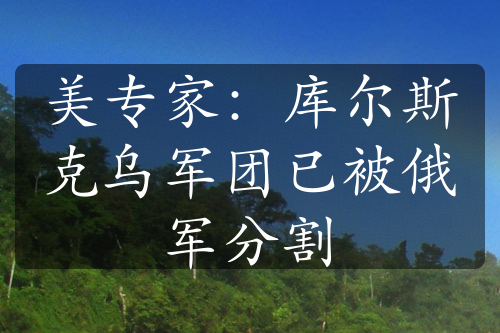 美专家：库尔斯克乌军团已被俄军分割