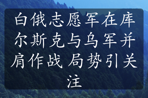 白俄志愿军在库尔斯克与乌军并肩作战 局势引关注