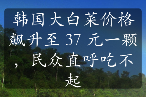 韩国大白菜价格飙升至 37 元一颗，民众直呼吃不起