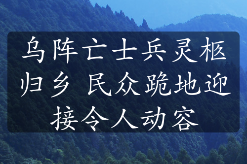 乌阵亡士兵灵柩归乡 民众跪地迎接令人动容