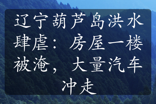 辽宁葫芦岛洪水肆虐：房屋一楼被淹，大量汽车冲走