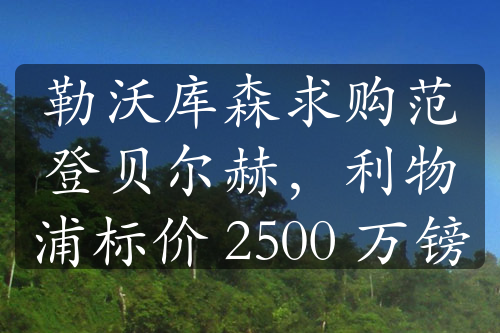 勒沃库森求购范登贝尔赫，利物浦标价 2500 万镑