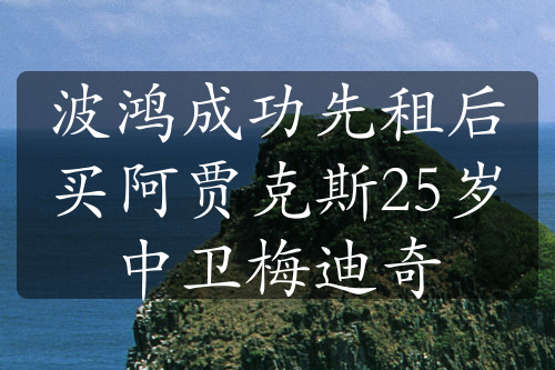 波鸿成功先租后买阿贾克斯25岁中卫梅迪奇