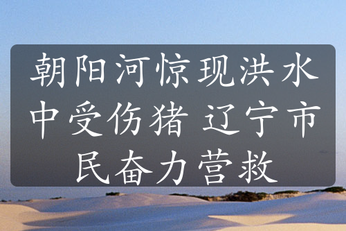 朝阳河惊现洪水中受伤猪 辽宁市民奋力营救