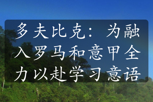 多夫比克：为融入罗马和意甲全力以赴学习意语