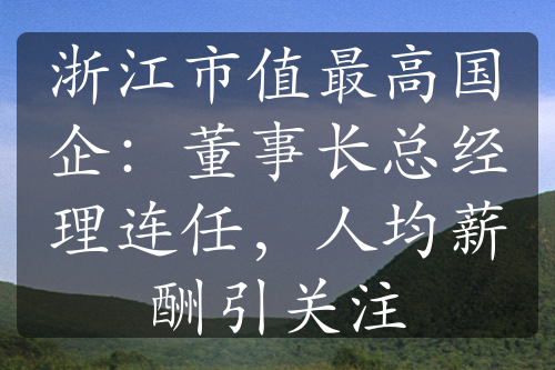 浙江市值最高国企：董事长总经理连任，人均薪酬引关注