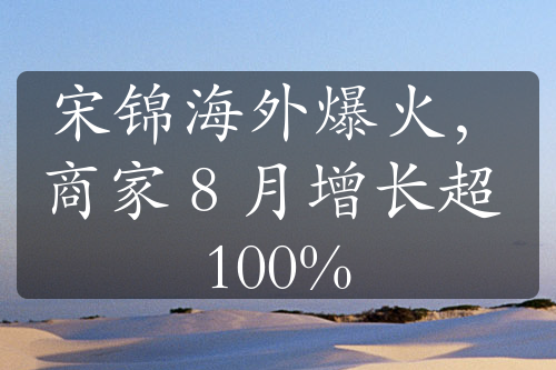 宋锦海外爆火，商家 8 月增长超 100%