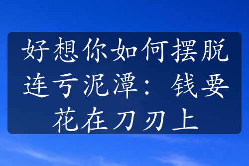 好想你如何摆脱连亏泥潭：钱要花在刀刃上