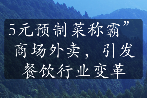 5元预制菜称霸”商场外卖，引发餐饮行业变革