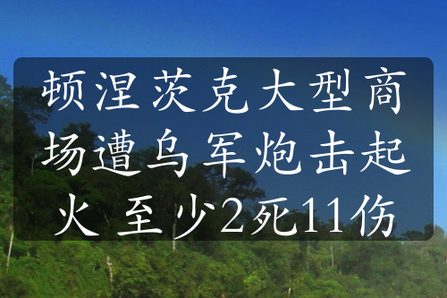 顿涅茨克大型商场遭乌军炮击起火 至少2死11伤