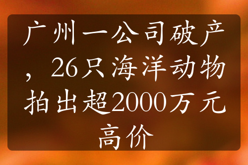 广州一公司破产，26只海洋动物拍出超2000万元高价