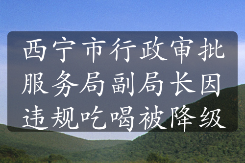 西宁市行政审批服务局副局长因违规吃喝被降级