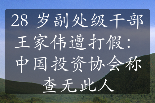 28 岁副处级干部王家伟遭打假：中国投资协会称查无此人