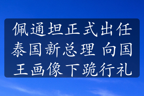 佩通坦正式出任泰国新总理 向国王画像下跪行礼