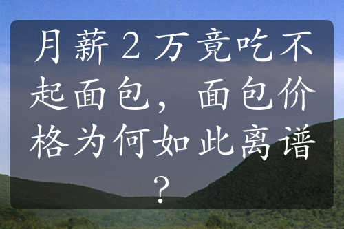 月薪 2 万竟吃不起面包，面包价格为何如此离谱？