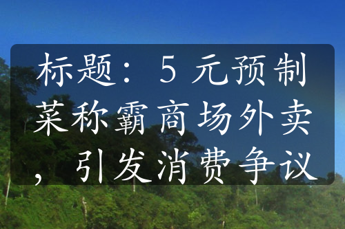 标题：5 元预制菜称霸商场外卖，引发消费争议