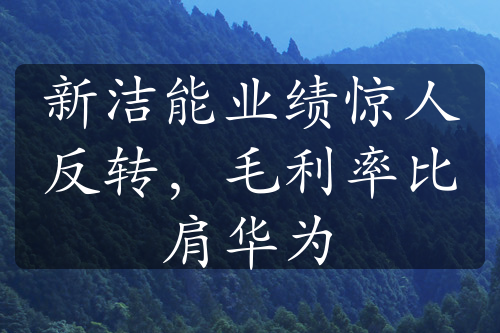 新洁能业绩惊人反转，毛利率比肩华为