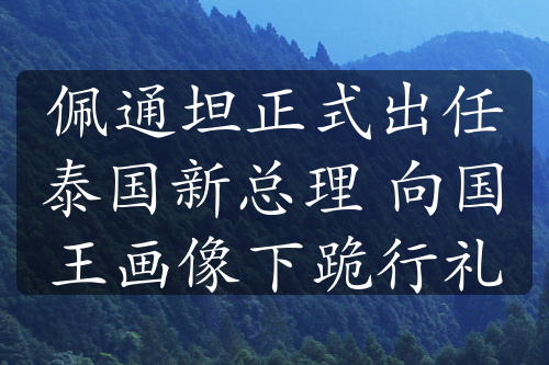 佩通坦正式出任泰国新总理 向国王画像下跪行礼