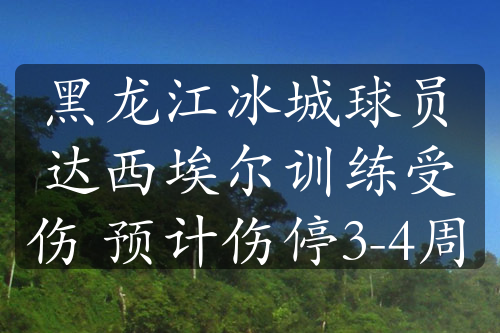 黑龙江冰城球员达西埃尔训练受伤 预计伤停3-4周